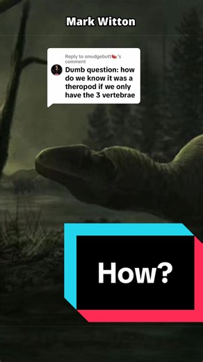 Replying to @smudgebutt🍉 how do we know Altispinax was a theropod? Well, through some good old fashioned comparative anatomy! #dinosaur #paleontology