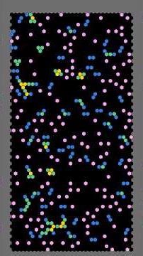 Yes Soup for You! ♫ #cellularautomata #mathart #algorithmicart #pixelart #animation