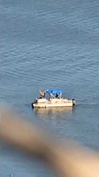Fans Wave Up at Jackie’s Nest From the Lake #eagle#fobbv #sandyandluna