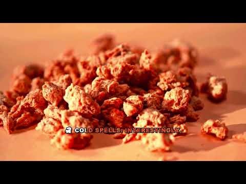 How Skunks Survive Extreme Cold - Complete Guide