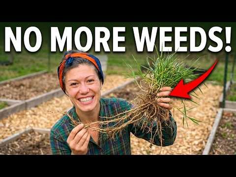 How I FINALLY Won the War on Invasive Grasses (NO Chemicals!)