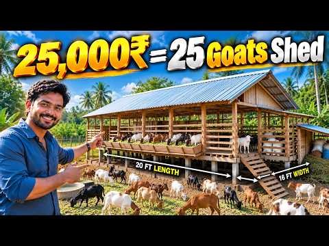 Low Cost Goat Shed for 25 Goats! Here's the Smarter Design