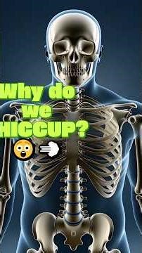 Why You Hiccup (It's a Glitch!) 😲💨#Shorts #Hiccups #Biology #Science #Anatomy #MedicalAnimation