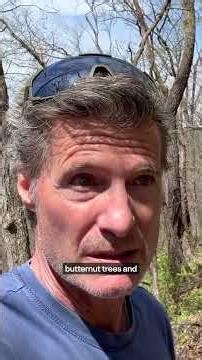 How to find and cook morel mushrooms