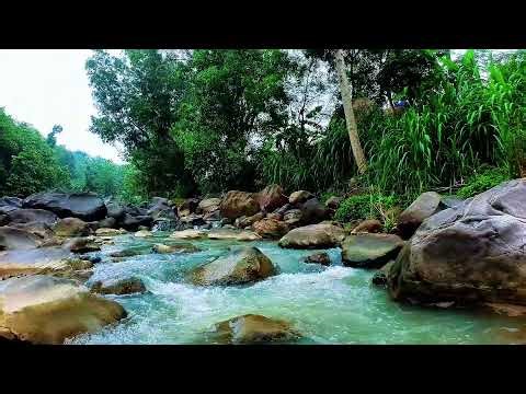 Flowing River Sounds for Rest – 12H Natural Water Ambience