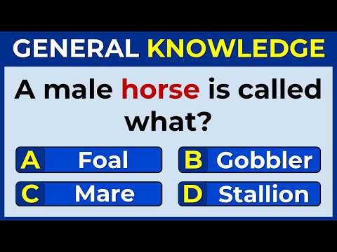 Can You Answer These 40 General Knowledge Questions? | Ultimate GK Quiz Challenge #40
