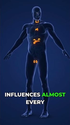 Your Body's SECRET Control System Revealed!