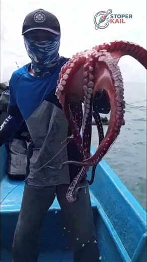 The Craziest Octopus Strike on Camera!