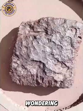 The Biggest Meteor Impacts in Earth’s History #meteor #astronomy
