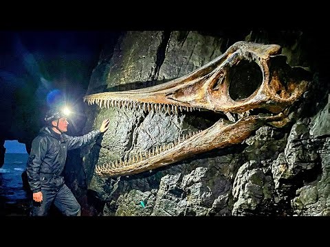 Paleontologists Found an Eerie Creature That Didn't Match Any Known Species