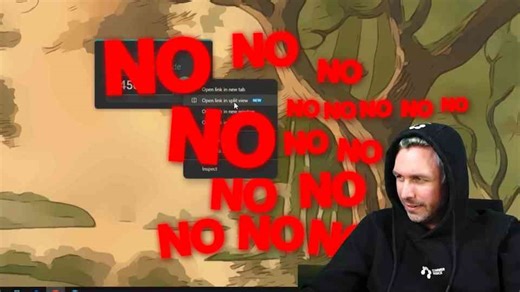 Watch what happens when a scammer begs hackers not to destroy his PC