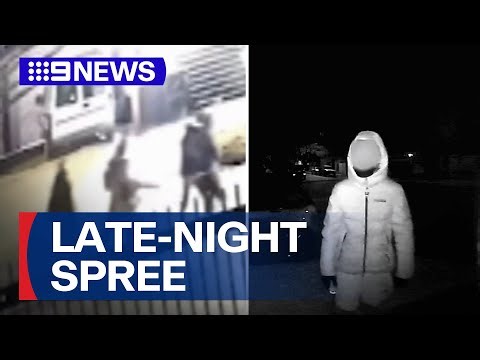 Youth crime spree leaves locals rattled | 9 News Australia