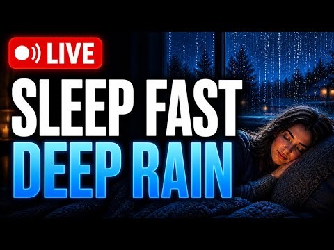 “Fall Asleep Instantly Calm Rain & Cozy Night (24/7 Live)