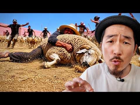 Complete CHAOS on a Moroccan Farm 🇲🇦 Catching Sheep for Eid al Adha!