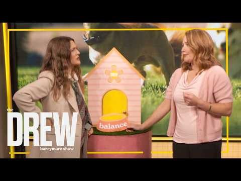 Pet Health Experts Answer Top Questions from Dog Owners | The Drew Barrymore Show