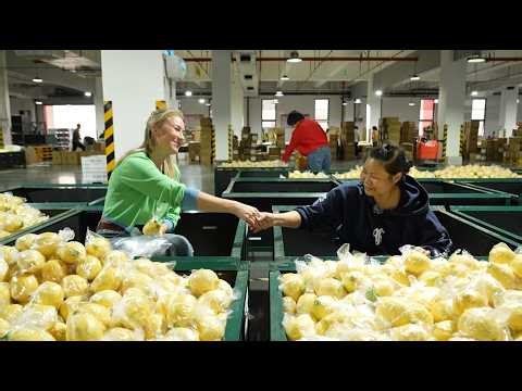 Meet China: A Cup of Tea, A City of Legends, A Journey of Culture