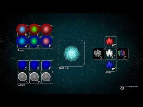 The Mystery of Matter, The Fundamental Interactions, The Standard Model of Particle Physics