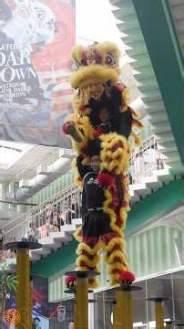 Yau Kung Mun Australia International High Pole Lion Dance Competition