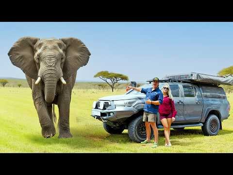 This Place Is FULL of Elephants… Africa’s Wildest Wetlands 🐘