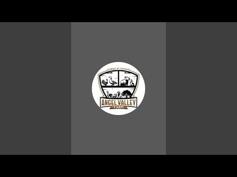 Angel Valley Farm Live Replay 🐾 Cozy Animal Moments & Farm Vibes