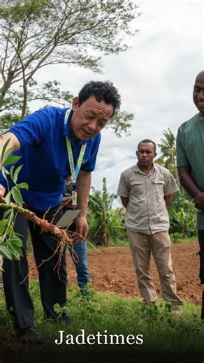 FIJI FARMERS USE NATURE'S WARNING SIGNS TO PREDICT CYCLONES | Jadetimes