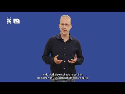 Artikel 11