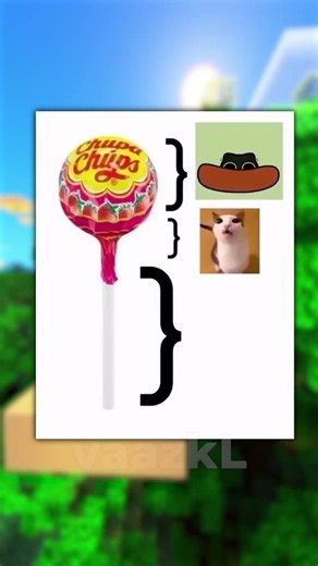 Funny Videos