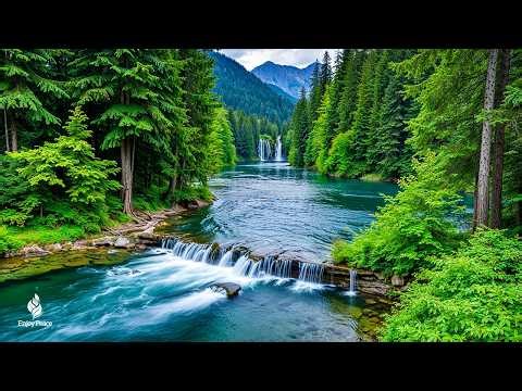 Restores The Nervous System 🌿 Relaxing music for mental healing & meditation