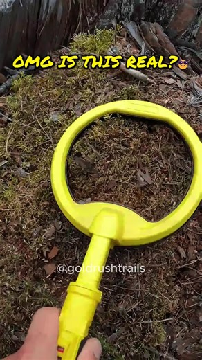 Discover Hidden Treasures with Metal Detecting
