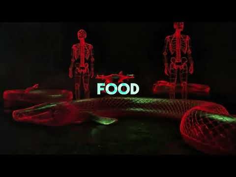 “Who Wins? Florida’s Deadly Alligator vs Python War”