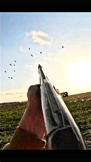 Quick shots, big results! Duck hunting highlights 🎥 #hunting