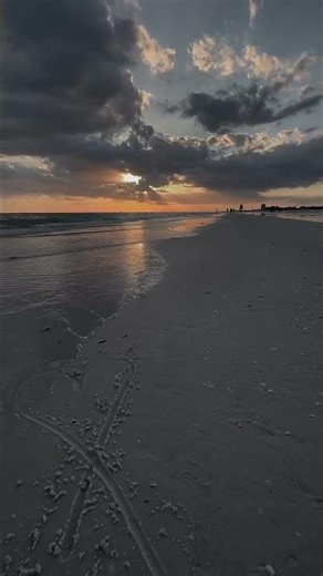 Cinematic Ocean Sunset Shots 🎥🌅 #CinematicShots #4KVideo #OceanSunset #Filmmaking #VisualArt #sun