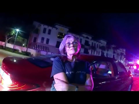 Lady Crashes Into Family, Makes Things 10X Worse