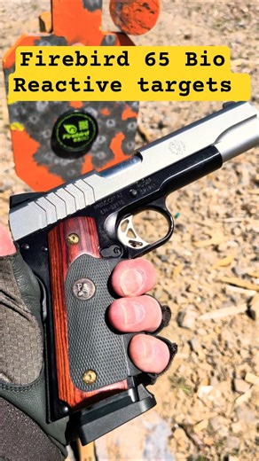 Firebird 65 Bio reactive targets w/ Ruger SR 1911 lightweight