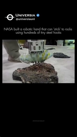 NASA’s Robotic 'Spider-Claw' for Asteroids! 🛰️🕷️