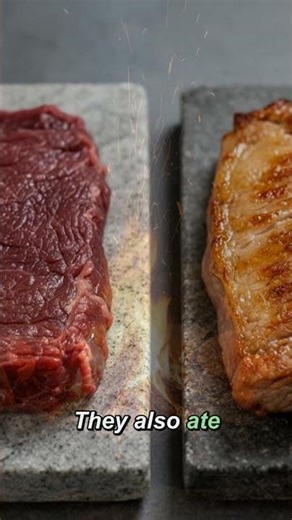 Fire Made Us Human: How Cooking Rewired Our Bodies