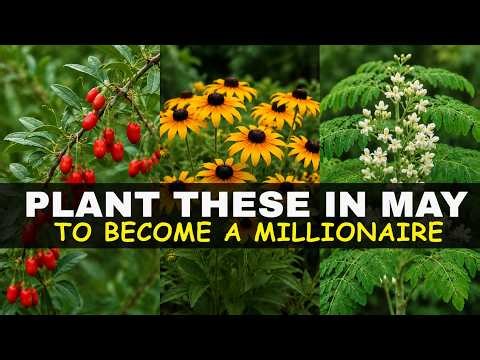10 Essential Gardening Tips to Plant & Grow in May – Don’t Miss These!