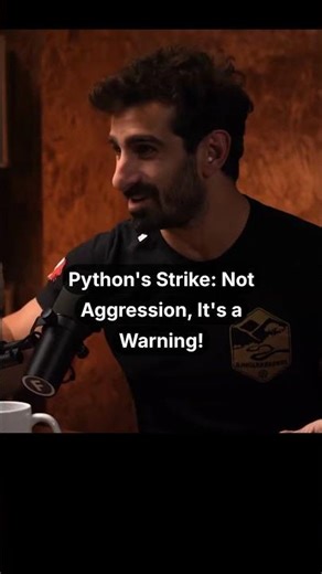 Python's Strike: Not Aggression, It's a Warning!