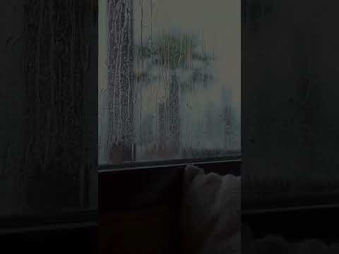 Nonstop Heavy Rain in the Forest 🌧️ Natural Rain Sounds for Deep Sleep & Total Relaxation