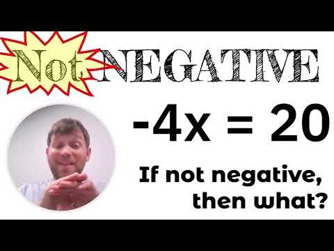 The Real Understanding of "Negative" 4x
