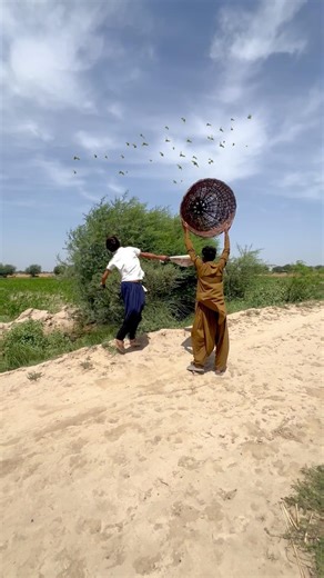 Too fast to escape 🦅⚡😱 #birdshunting