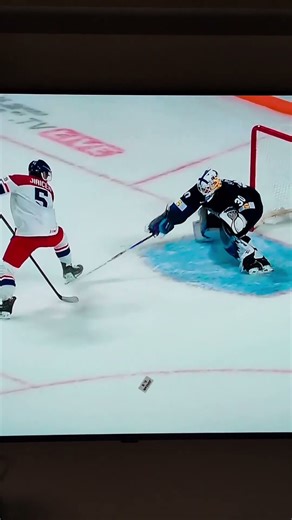 #hockey #substring #shorts #czsk #viral