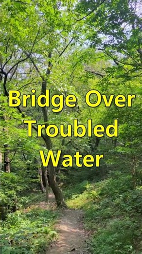 ○ Bridge Over Troubled Water - Simon & Garfunkel ○ #7080 #pop #Old Song #Music #추억의팝송