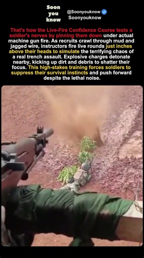 Why the Army Shoots REAL Bullets at Its Own Recruits