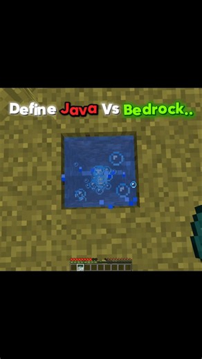 Define Bedrock vs Java ☠️ #minecraft #shorts #viral