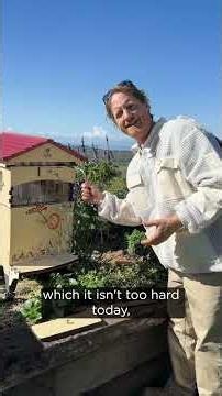 How do you harvest honey with a Flow Hive? 🍯