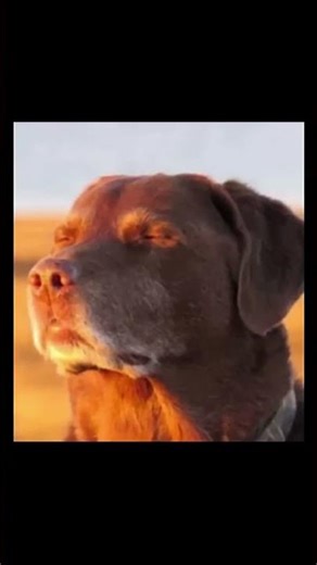 The real enemy is my own teammates apparently. 🥹