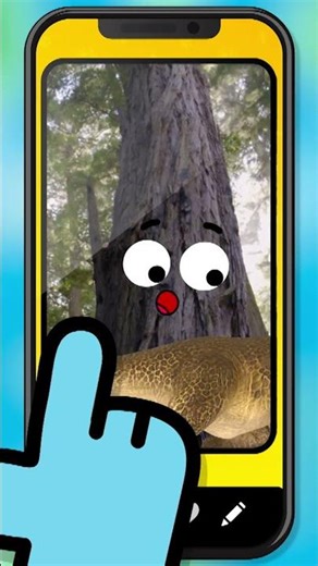 200 muscles dans chaque bras 😮🐙 Vive les #pieuvres et les #ChampionsduClimat !@cartoonnetworkFR