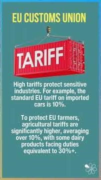 EU Customs Union Explained | 60 Second Economics