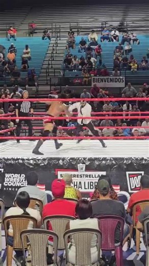 wrestling WWC